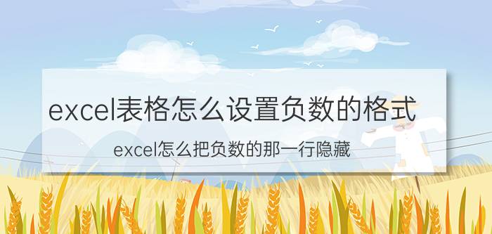 excel表格怎么设置负数的格式 excel怎么把负数的那一行隐藏？